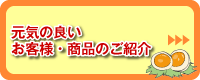 元気の良いお客様・商品のご紹介